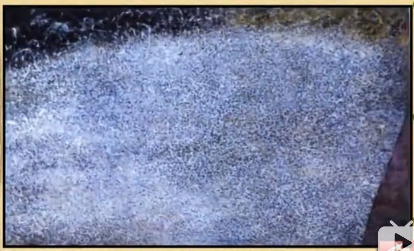 6vqih45f440uedol17laphdcf0.png